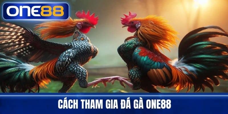 Cách Tham Gia Đá Gà One88
